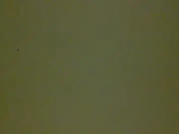 Chaturbate Best live sex cam show of bonershow
