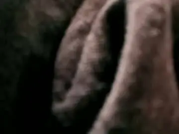 Chaturbate Best Webcam of josepty507