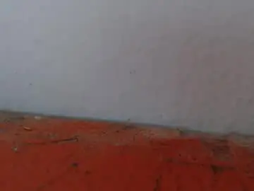 Chaturbate Sex Cam of alexamdergal