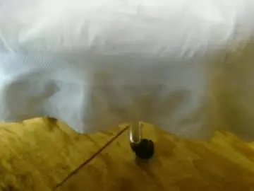 Chaturbate Private Sex Chat of 14xxxromeo