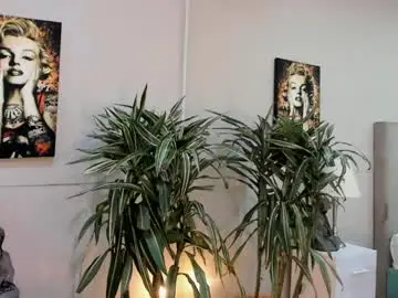 Chaturbate Live Sex of kai_storn