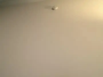 Chaturbate Free Live Porn of yacout87