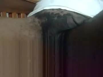 Chaturbate Free Porn Cam of arteblazze