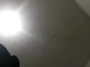 Chaturbate Free Porn Cam of marcelo845434