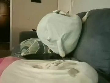 Chaturbate Free Porn Cam of dolladollabillcomegether
