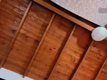 Chaturbate Live Sex of silvabranko