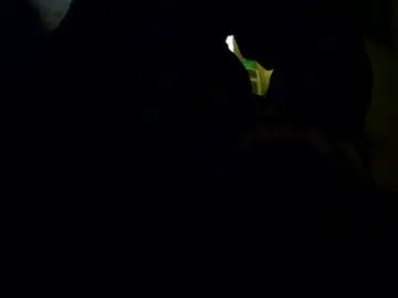 Chaturbate Sex Cam of tetuo2