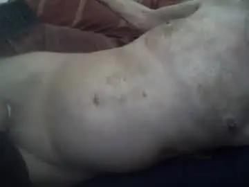 Chaturbate Live Sex Cam of dorsetbiker714