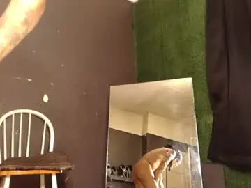 Chaturbate Adult Webcams of bigpussypump