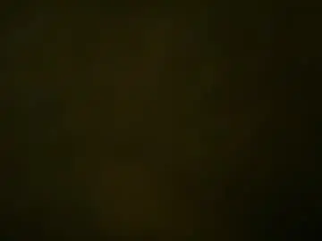 Chaturbate Live Porn of gfintray699