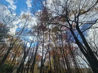 Streamate Adult Webcams of JoshC211