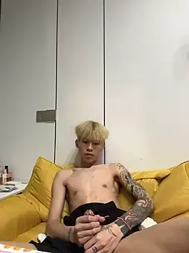 Stripchat Live Sex Cam of KPL-11