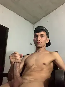 Stripchat Adult Video Chat of gabrielzinnnn085