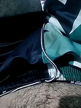 Stripchat Free Porn Cam of Tallhulk