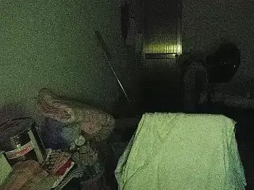 Stripchat Adult Webcam of RebelAura