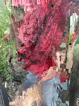 Stripchat Best Webcam of Kaalkoot
