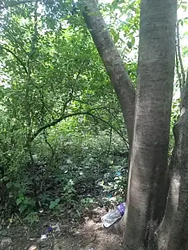 Stripchat Live Sex of Kaalkoot