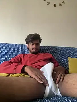 Stripchat Free Porn Cam of Seenu2199