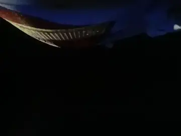 Stripchat Live Porn of sterng6969