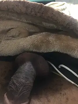 Stripchat Best live sex cam show of FuckBuddy_Raw