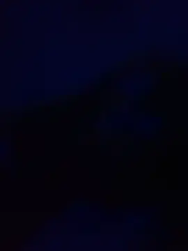 Stripchat Sex Chat of BigRastaFire