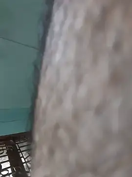 Stripchat Nude Webcam of Hairy_hunk32