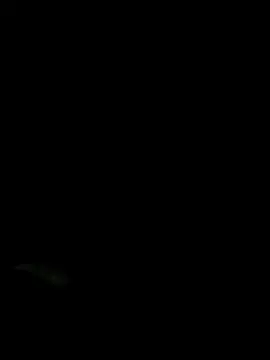 Stripchat Adult Webcam of QcMisterv13