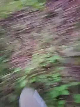 Stripchat Live Sex of VexPro998