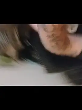 Stripchat Free Live Porn of jarjar83