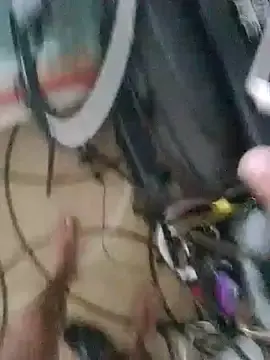 Stripchat Live Sex Cam of roludoogato