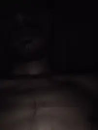 Stripchat Private Sex Chat of IMBADBOY4U